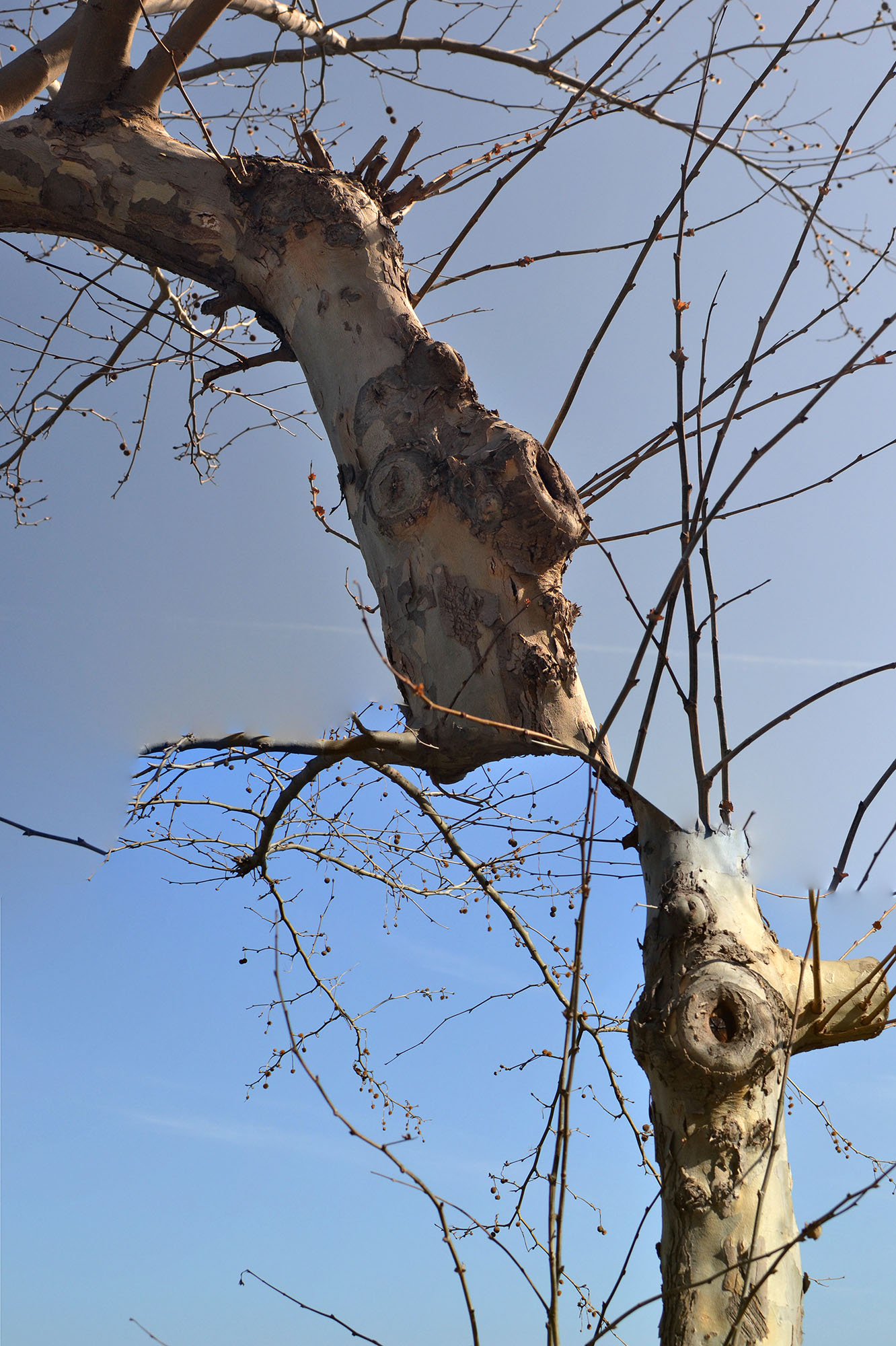Untitled_Panorama 190